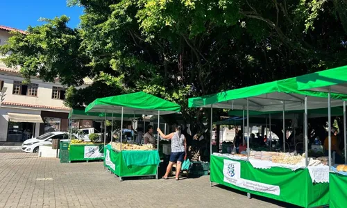 
          Imagem ilustrativa da imagem Iconha: aventura em trilhas e cachoeiras
          