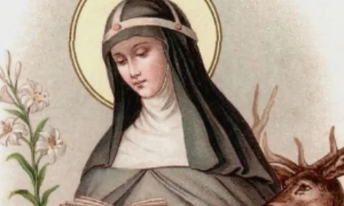 
          Imagem ilustrativa da imagem Ingressos a R$ 50 até domingo
          