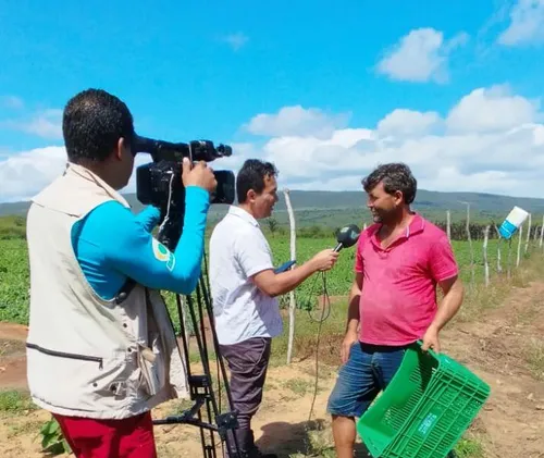 
          Imagem ilustrativa da imagem Jumento pêga e os resultados da safra 2024/25 no Notícias do Campo deste domingo
          
