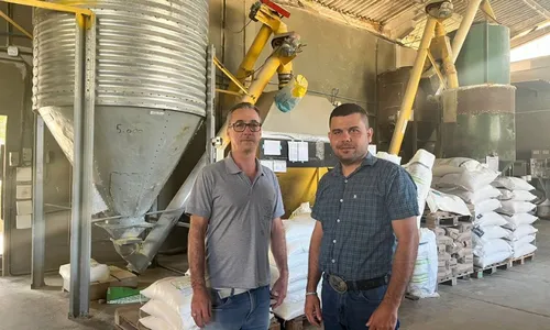 
          Imagem ilustrativa da imagem Lucro com mais proteína na ração
          