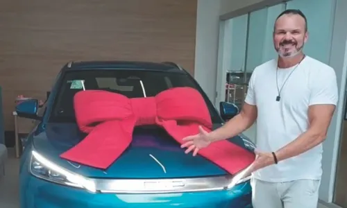 
          Imagem ilustrativa da imagem Maioria dos donos aprova carro elétrico
          