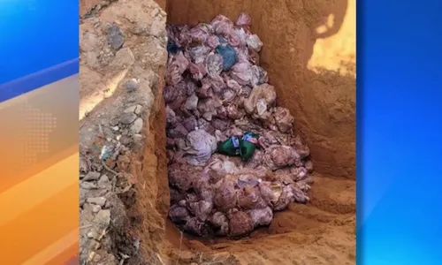 
          Imagem ilustrativa da imagem Mais de 1 tonelada de carne irregular é apreendida em açougues no ES
          