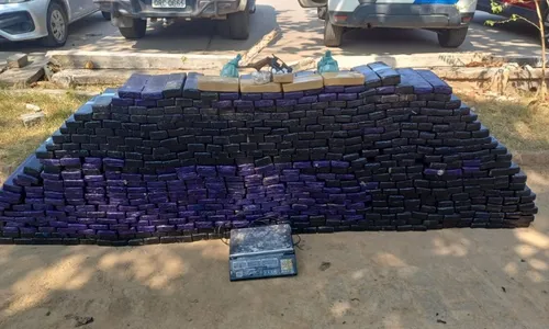 
          Imagem ilustrativa da imagem Mais de meia tonelada de maconha apreendida em bar no Sul do ES
          