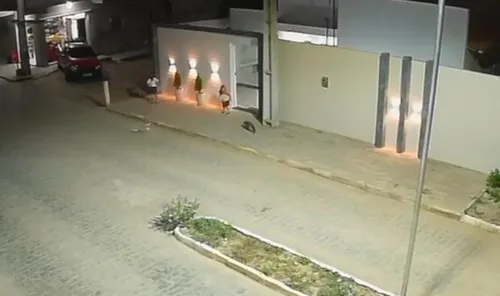 
          Imagem ilustrativa da imagem Raposa morre após atacar criança de 3 anos: animal estava com raiva
          