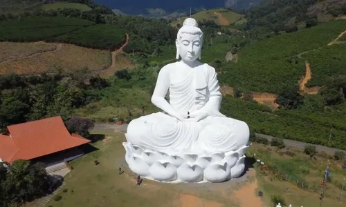 
          Imagem ilustrativa da imagem Mosteiro Zen vai ter concertos, exposições e oficinas este mês
          