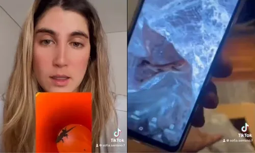 
          Imagem ilustrativa da imagem Mulher compra AirFryer online e pacote vem com um lagarto dentro; assista ao vídeo
          