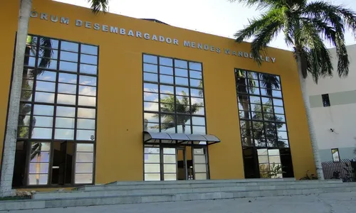 
          Imagem ilustrativa da imagem Mulher que atropelou marido e impediu socorro vai a júri popular no ES
          