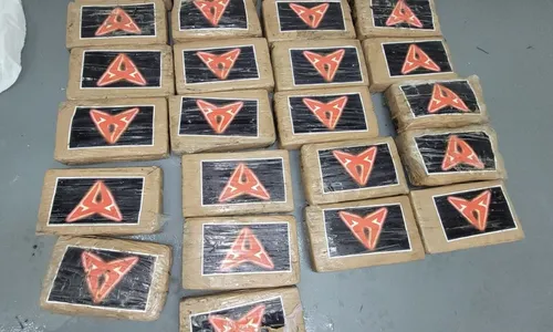 
          Imagem ilustrativa da imagem Nos EUA, furacão Debby leva cocaína avaliada em R$ 5.7 milhões para praia
          