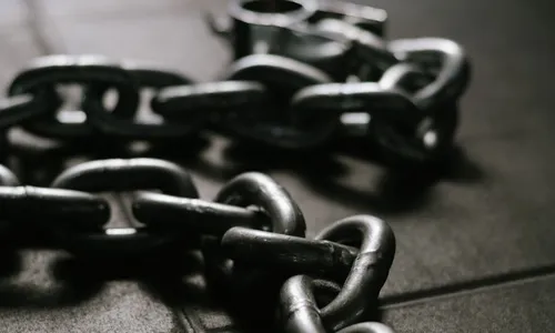 
          Imagem ilustrativa da imagem Operação liberta 593 trabalhadores de condições de escravidão; 98 em Pernambuco
          