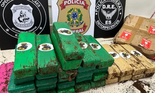 
          Imagem ilustrativa da imagem PF apreende 30 kg de maconha em galpão de empresa de envio de mercadorias no ES
          
