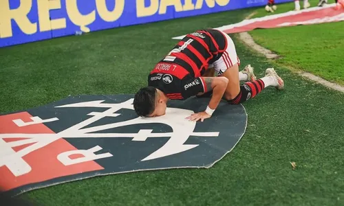 
          Imagem ilustrativa da imagem Palmeiras leva 2 do Flamengo e terá de ser o 'time da virada'
          