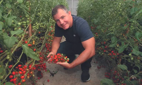 
          Imagem ilustrativa da imagem Passo a passo para montar uma horta em casa
          