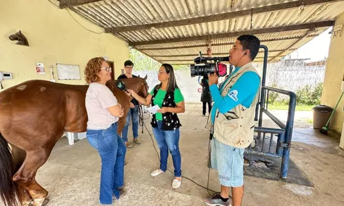 
          Imagem ilustrativa da imagem Plantio mecanizado, safra da cana 2024/2025 e "Pernambuco Meu País" em Gravatá
          