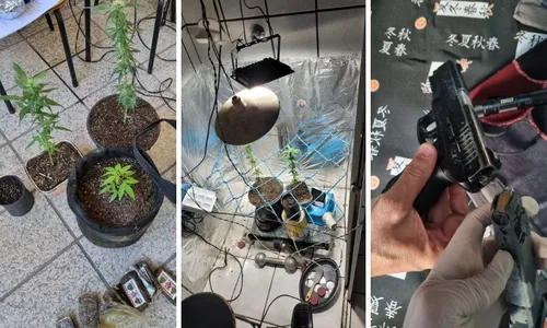 
          Imagem ilustrativa da imagem Polícia Federal encontra plantação de maconha e arma na casa de jovem em Vila Velha
          