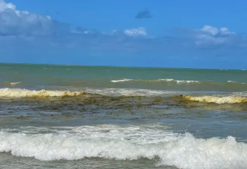 
          Imagem ilustrativa da imagem Poluição em Boa Viagem. Resultado das análises só nas próximas semanas
          