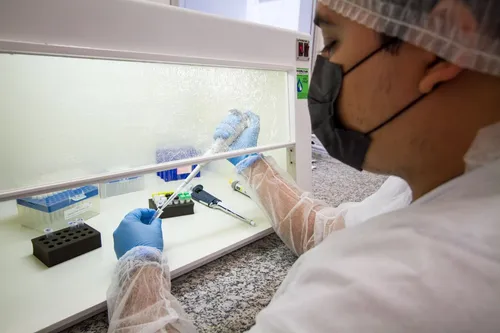 
          Imagem ilustrativa da imagem Secretaria Estadual de Saúde registra terceiro caso de óbito de feto com Oropouche
          