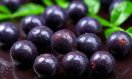 
          Imagem ilustrativa da imagem Três frutas brasileiras estão entre as melhores do mundo
          