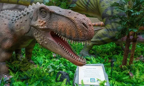 
          Imagem ilustrativa da imagem Última semana para ver de perto a maior exposição de dinossauros da América Latina
          