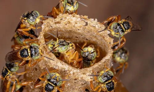 
          Imagem ilustrativa da imagem Um chamado urgente pela sustentabilidade urbana
          