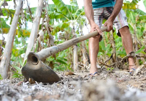 
          Imagem ilustrativa da imagem Valor contratado por agricultores familiares no BNB dobra em quatro anos
          