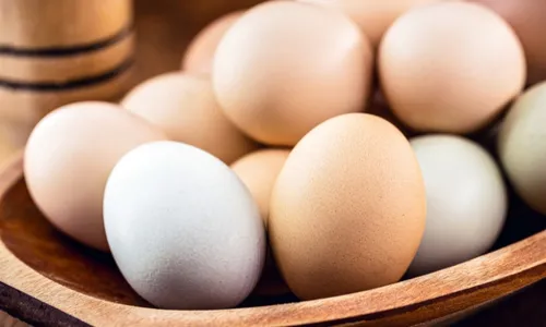 
          Imagem ilustrativa da imagem Vida no campo e ovo caipira
          