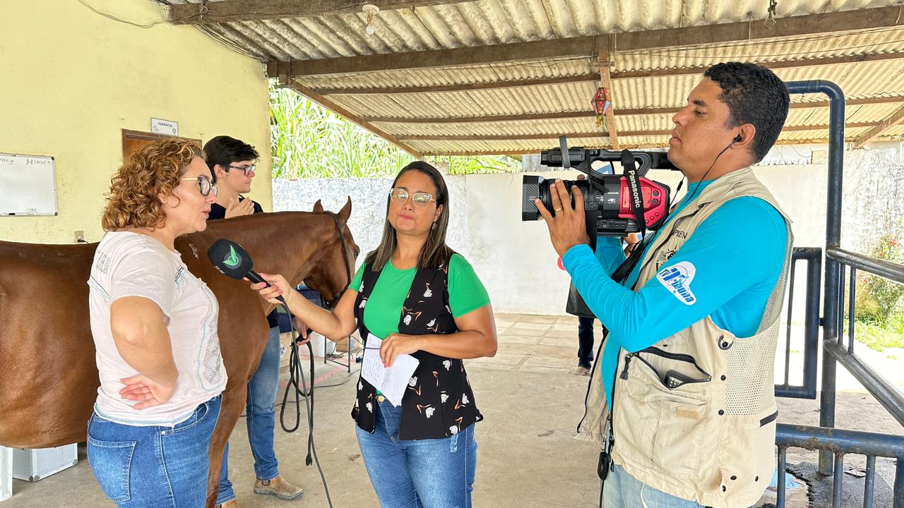 Criação de cavalos e turismo rural no Notícias do Campo deste domingo (28)  | Tribuna Online | Seu portal de Notícias