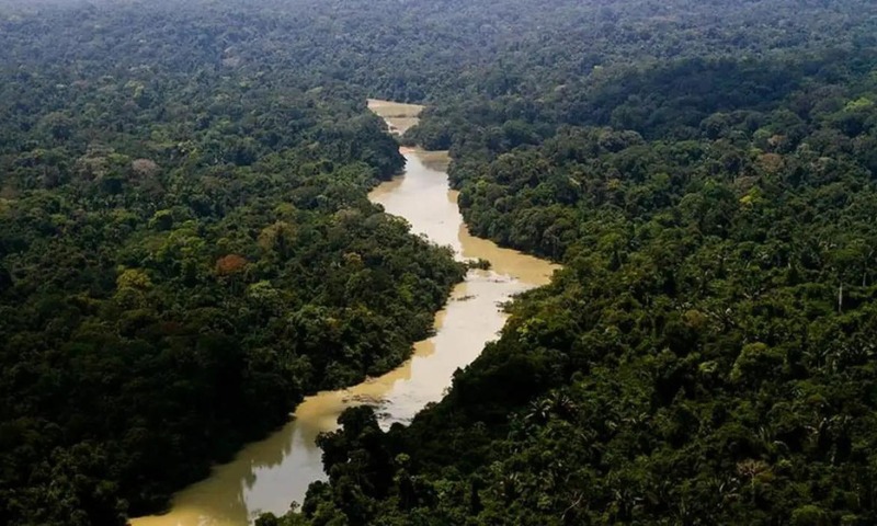 Taxa de desmate na Amazônia Legal chegou a 3.335 km², menor valor em quase quatro décadas, segundo o Inpe