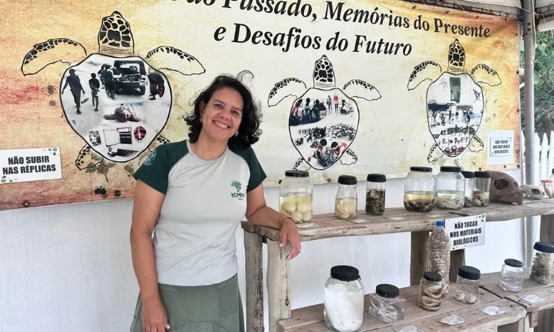 Imagem ilustrativa da imagem Belas praias e diversão em passeio por São Mateus