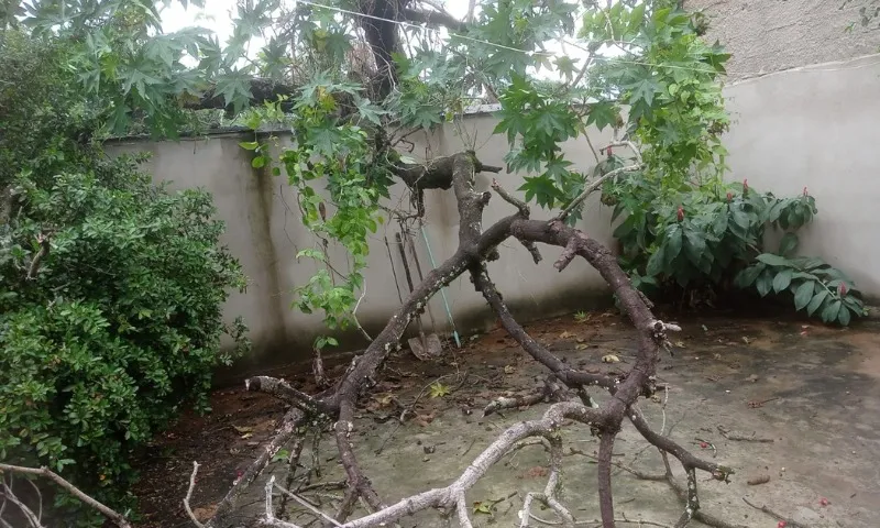 Imagem ilustrativa da imagem Casa é interditada após parte do imóvel desabar por conta da chuva em Vitória