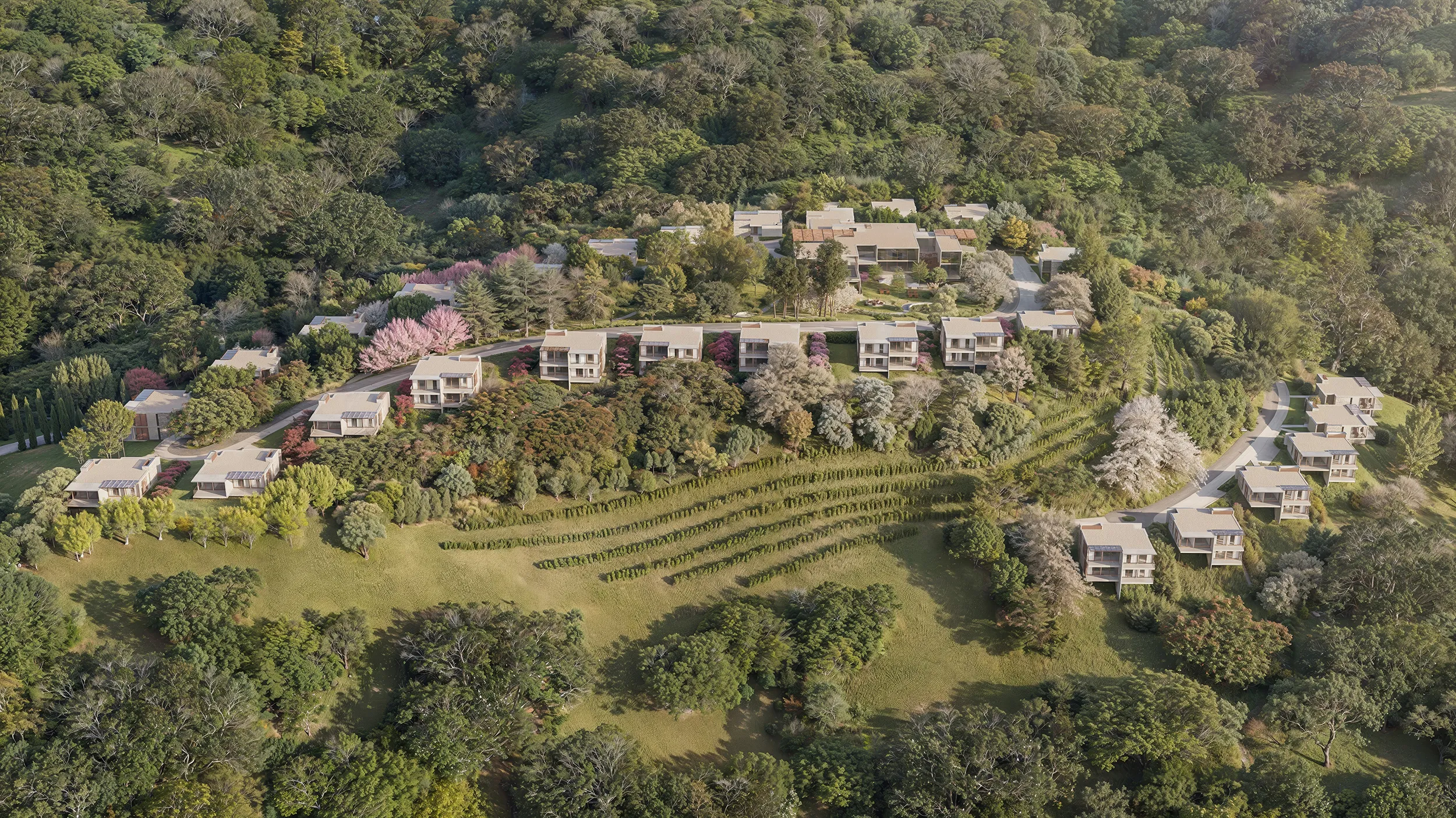 Imagem ilustrativa da imagem Novo lançamento imobiliário na "terra do vinho"