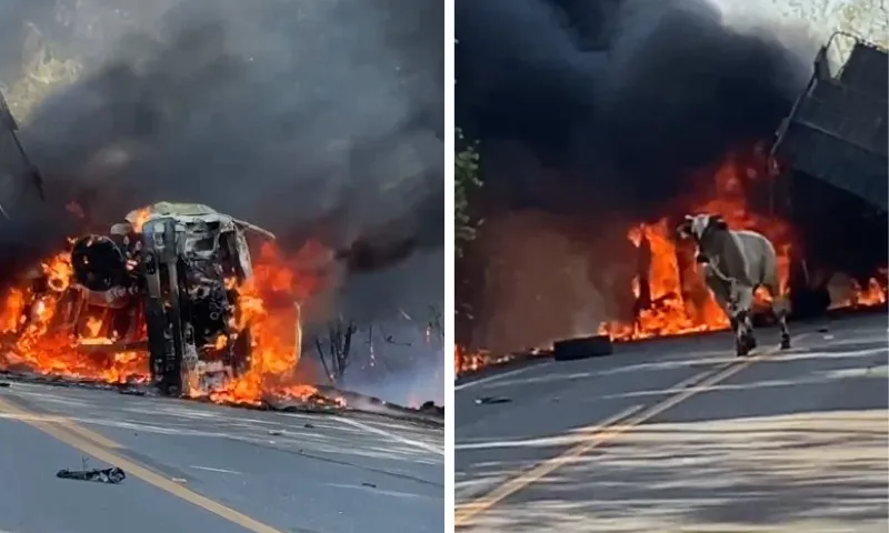 Imagem ilustrativa da imagem Acidente entre carro e caminhão de gado deixa uma pessoa morta em rodovia do ES