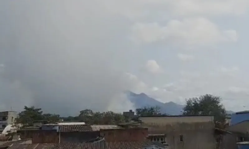 Imagem ilustrativa da imagem Área de vegetação é atingida por incêndio na Rodovia do Contorno