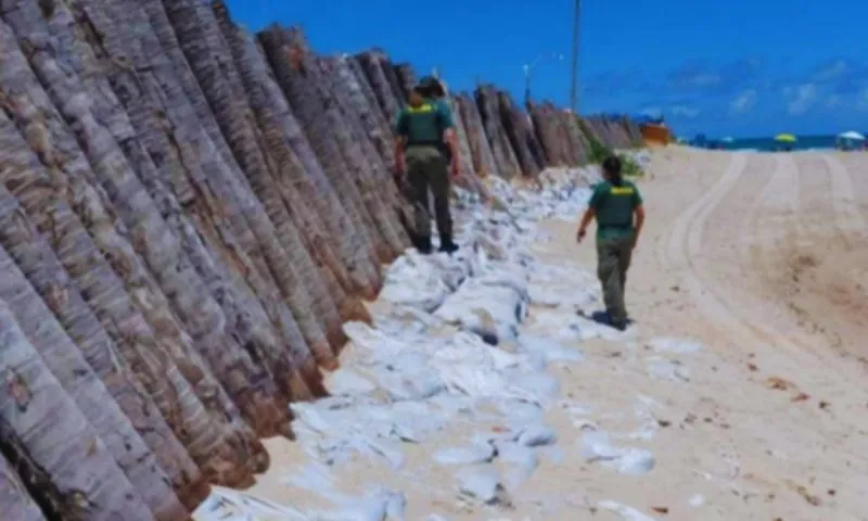 Imagem ilustrativa da imagem Depois de muita polêmica, TJPE determina demolição de muro em Pontal de Maracaípe