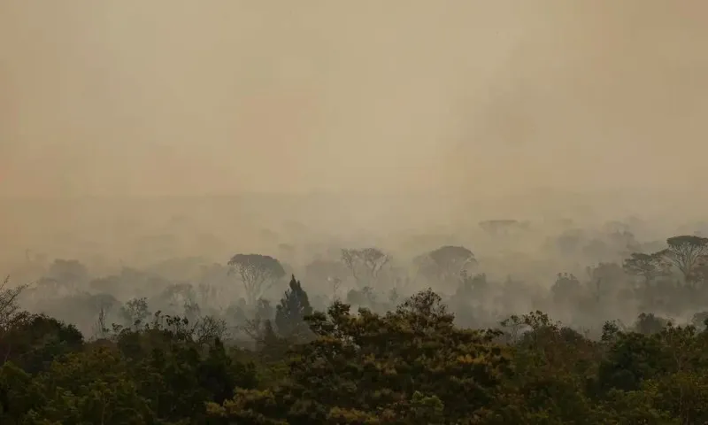 Imagem ilustrativa da imagem Ibama multa 242 pessoas por incêndios criminosos em 2024