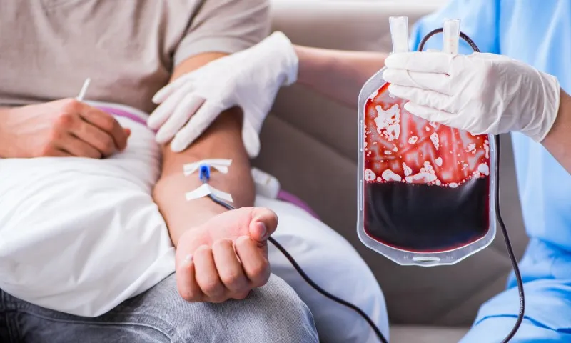 Imagem ilustrativa da imagem STF forma maioria para que testemunhas de Jeová recusem transfusão de sangue