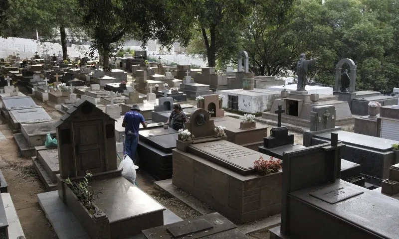 Imagem ilustrativa da imagem Visitantes recebidos ao som de violino em cemitérios no Dia de Finados