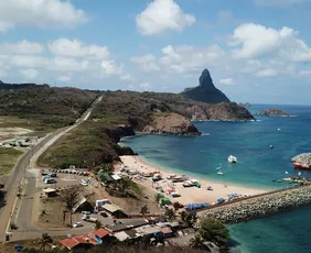 Imagem ilustrativa da imagem Turista é mordida por tubarão em Fernando de Noronha