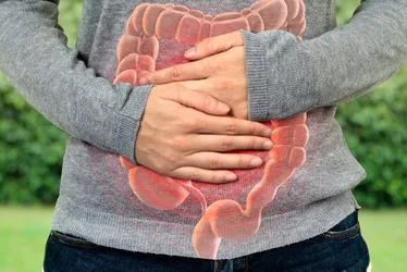 Imagem ilustrativa da imagem A importância dos gases intestinais