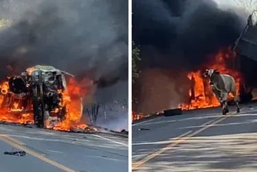 Imagem ilustrativa da imagem Acidente entre carro e caminhão de gado deixa uma pessoa morta em rodovia do ES