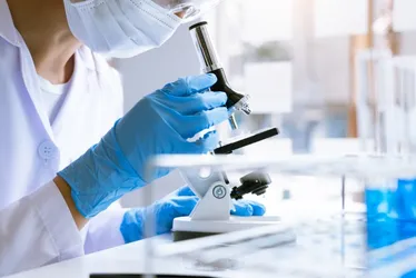 Imagem ilustrativa da imagem Alerta da Anvisa: superfungo resistente a remédios é nova ameaça