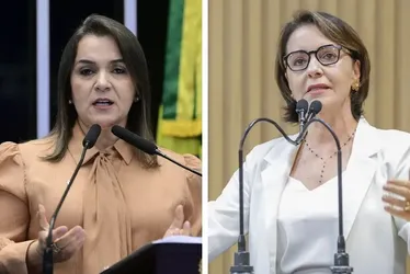 Imagem ilustrativa da imagem Apenas duas mulheres foram eleitas para prefeituras de capitais