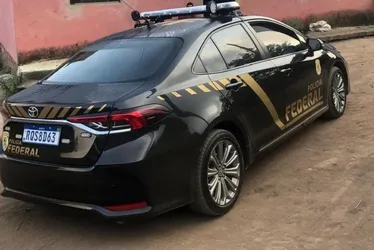 Imagem ilustrativa da imagem Após alerta da Interpol, PF faz operação contra abuso sexual infantil no ES