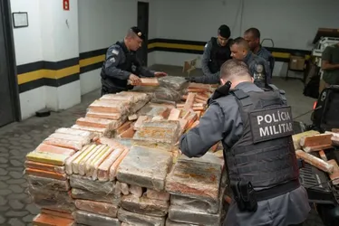 Imagem ilustrativa da imagem Após denúncia anônima, polícia apreende quase três toneladas de maconha na Serra