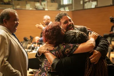 Imagem ilustrativa da imagem Câmara do Recife aprova regulamentação de medicamentos à base de cannabis