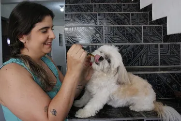 Imagem ilustrativa da imagem Cannabis medicinal é usada em tratamentos para cães e gatos no ES