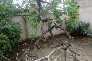Imagem ilustrativa da imagem Casa é interditada após parte do imóvel desabar por conta da chuva em Vitória