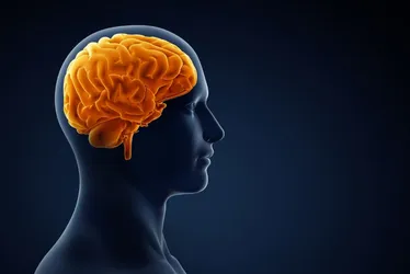 Imagem ilustrativa da imagem Casos de AVC aumentaram 70% em 30 anos, mostra estudo