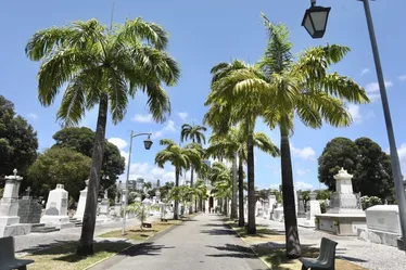 Imagem ilustrativa da imagem Comércio, serviços, vacinação e cemitérios. Veja o funcionamento no feriado