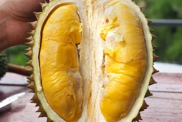 Imagem ilustrativa da imagem Como a fruta-cadáver ajuda economia do Espírito Santo