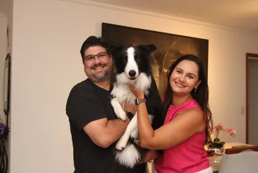 Imagem ilustrativa da imagem Confira 17 dicas para adestrar seu cachorro